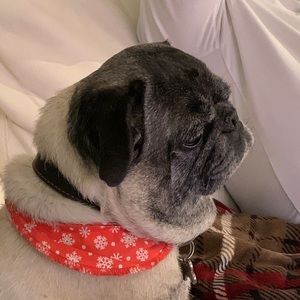 Meet your Posher, Marie-perle